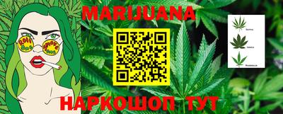 индика Лесосибирск